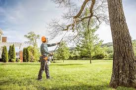  Haddon Heights, NJ Tree Removal and Landscaping Services Pros